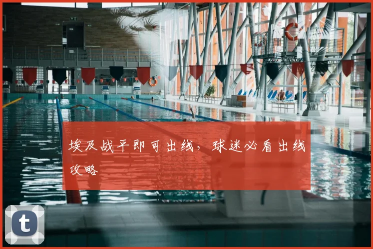 埃及战平即可出线，球迷必看出线攻略
