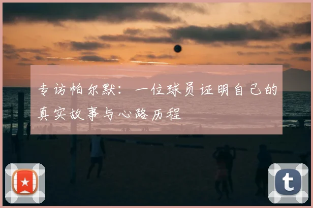 专访帕尔默：一位球员证明自己的真实故事与心路历程