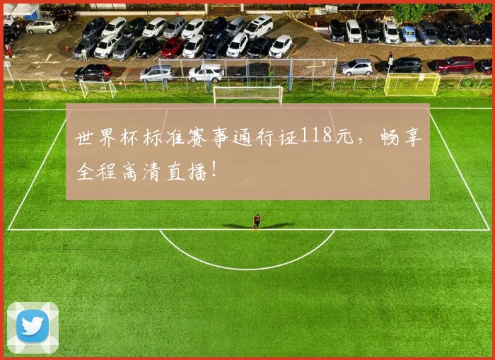 世界杯标准赛事通行证118元，畅享全程高清直播！