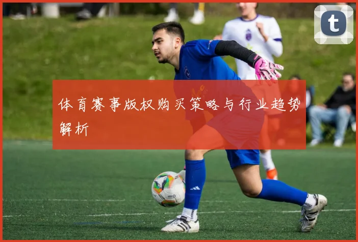 体育赛事版权购买策略与行业趋势解析